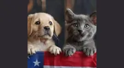 Kinkaid Veterinary Hospital