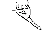 Docksiders Gymnastics