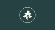 Mike Timbers Tree Removal Service