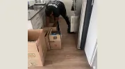 Pryority Movers