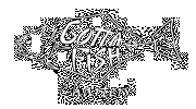 Gotta Fish Charters