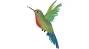 Wandering Hummingbird Massage
