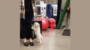 DTR Fitness
