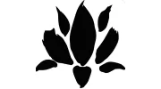 Black Lotus Gym