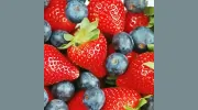 Vineyard Nutrition