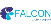 FALCON Engineering Services