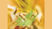 Aziza Doumani Reiki & Wellbeing