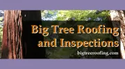 Big Tree Roofing & Inspections