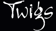Twigs Floral Design Studio
