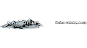 Sawtooth Transportation