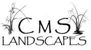 CMS Landscapes