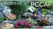 Psychotherapy Center For Children Adults & Families