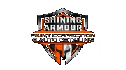 Shining Armour Paint Correction & Auto Detailing