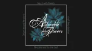 Adorable Flowers