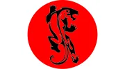 Precision Mixed Martial Arts