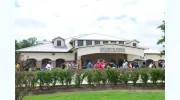 Montessori School of Sugar Land