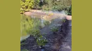 Georgia Sprinklers