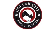 Collar City Animal Hospital