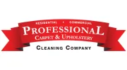 Professional Carpet Cleaning