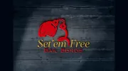 Set Em Free Bail Bond