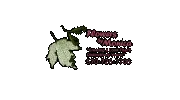 Flowers by Monica