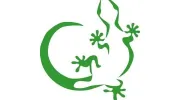 Desert Path Marketing