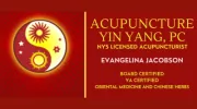 Acupuncture Yin Yang