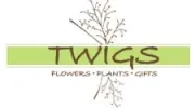 Twigs