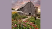 Orchard Valley Acres