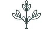 Rasayana