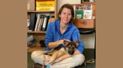 Brattleboro Veterinary Clinic