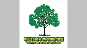 Daniel's Lawn & Landscaping Service