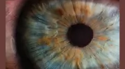 Tacoma Family Eyecare