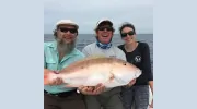 Ridla Charters