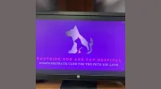 Eastside Dog & Cat Hospital