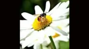 Busy Bees Childcare
