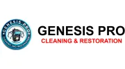 Genesis Pro Carpet Care