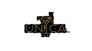 Unica Party Rentals