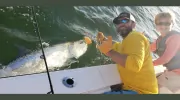 Lighthouse Fishing