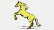 Adventure Horse Riding In NYS