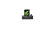 Insight Environmental
