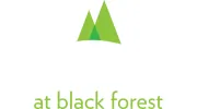 Lodge at Black Forest