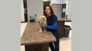Riverbank Animal Hospital