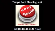 Tampa Roof Cleaning