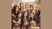 Animal Hospital Of Newton-Conover