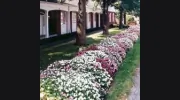 Schrader Funeral Home