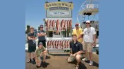 Fishing Just B Cause