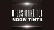 Professional Touch Window Tinting