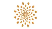 Trust Therapeutics