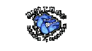 Bulldog Sports & Fitness